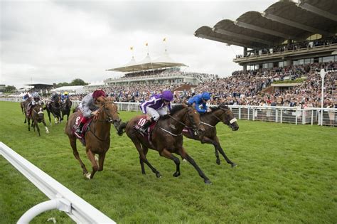 goodwood placepot|live placepot running totals.